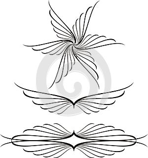 Scroll, cartouche, decor, vector