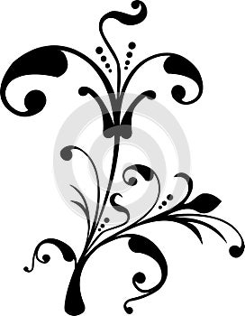 Scroll, cartouche, decor, vector