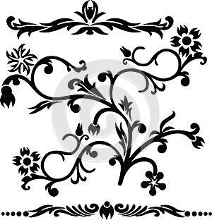 Scroll, cartouche, decor, vector