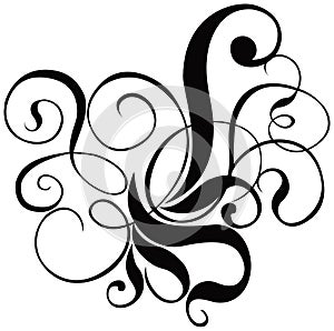 Scroll, cartouche, decor, vector