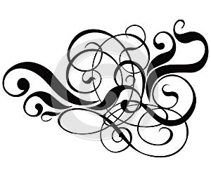 Scroll, cartouche, decor, vector