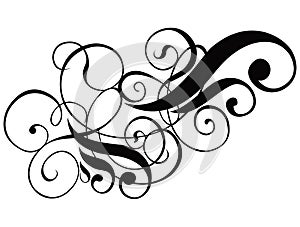 Scroll, cartouche, decor, vector