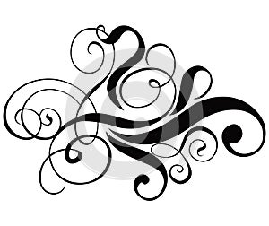 Scroll, cartouche, decor, vector