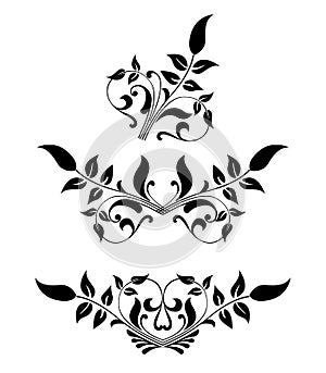Scroll, cartouche, decor, vector