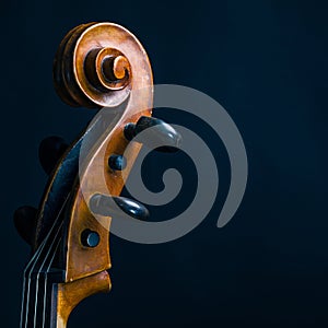 Scroll Cello photo