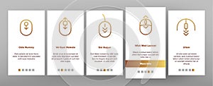 Scroll Onboarding Vector