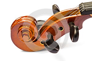 Scroll and pegbox of violin