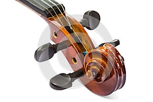 Scroll and pegbox of violin photo