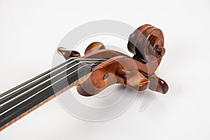 The scroll and pegs of a fine violin