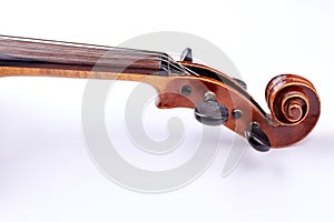 Scroll of the violin on white background.