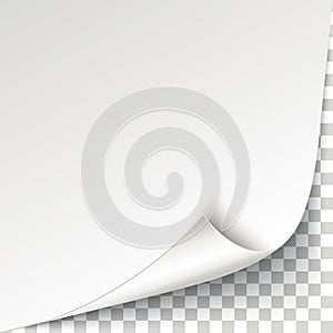 Scrolled Corner White Paper Cover Background Transparent