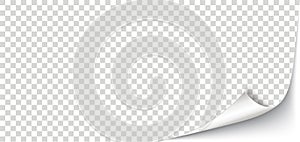 Scrolled Corner White Paper Cover Transparent