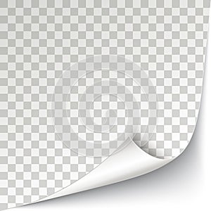 Scrolled Corner White Paper Cover Transparent