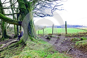 Scrolling on a winter walk at Scaleber Foss, North Yorkshire.