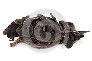 Scrophularia Root photo