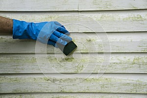 Scrubbing Algae and Mold Off Vinyl SIding