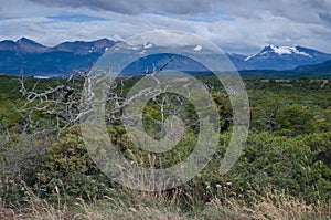 Scrubland and mountains in the Chilean Patagonia.