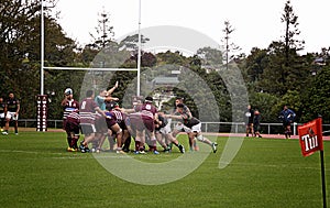 Scrum Rugby Union Club Waitemata vs Waitakere City