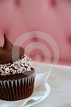 Scrumptious cupcake with creamy frosting