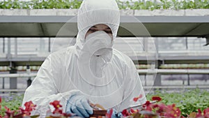 Scrupulous female biologist in respirator looking at plants in greenhouse. Portrait of Caucasian woman in protective