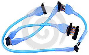 SCSI data cable isolated on white