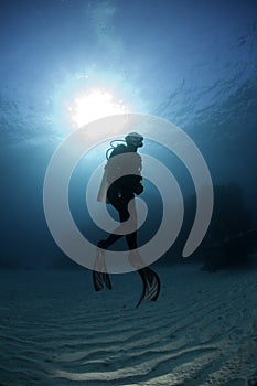 Scuba Diver photo