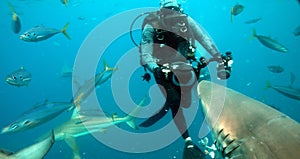 Scuba diver capturing shark