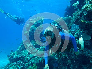 Scuba diver and coral