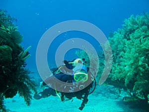 Scuba diver and coral reef