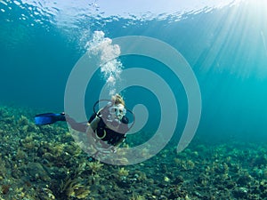 Scuba diver on coral reef