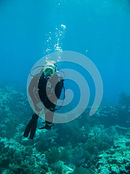 Scuba diver and coral reef