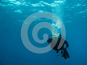 Scuba diver and coral reef photo