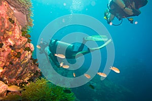 Scuba Diver on coral reef in clear blue water