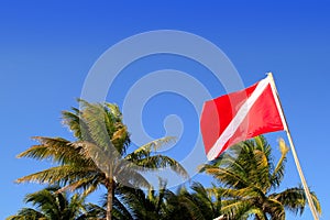 Scuba diver down flag tropical palm trees blue sky