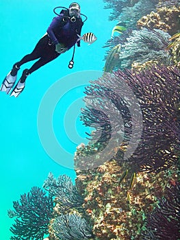 A Scuba Diver Enjoys the Coral Reef off Cabo San Lucas, Mexico
