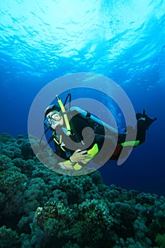 Scuba Diver explores coral reef