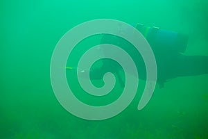 SCUBA diver exploring a murky freshwater lake swimming through a thermocline holding dive flag rope