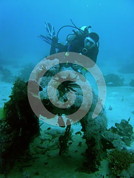scuba diver exploring zero wreckage philippines photo