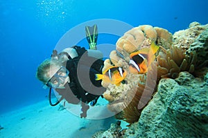 Scuba Diver finds Nemo