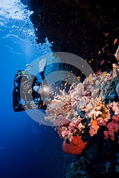 Scuba diver with a flashlight illuminating colorful corals deep in the sea