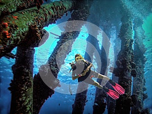 A Scuba Diver Floats Through Coral-Encrusted Salt Pier Pilings
