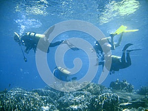 Scuba diver group lesson