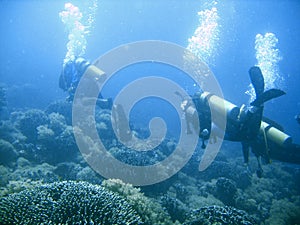 Scuba diver group lesson