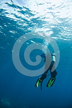 Scuba diver heading to surface