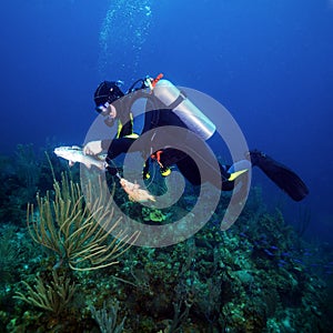 Scuba Diver Hunting Fishes