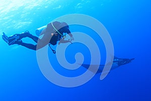 Scuba diver with manta ray at Socorro Island, Mexico