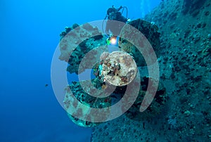 Scuba diver and propeller. Shipwreck.