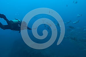 Scuba diver recording underwater video