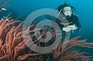 Scuba diver with red coral