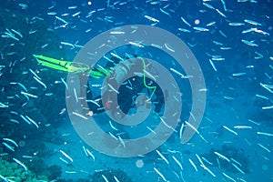 A scuba diver in the Red Sea